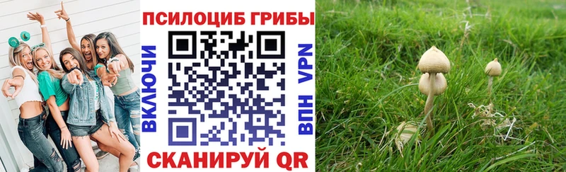 Псилоцибиновые грибы мухоморы  Яровое 